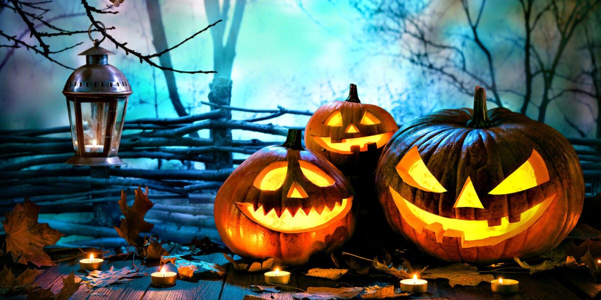 Three lit Jack o' lanterns in front of wood tree fenc with lantern and tea candles on wood floor.