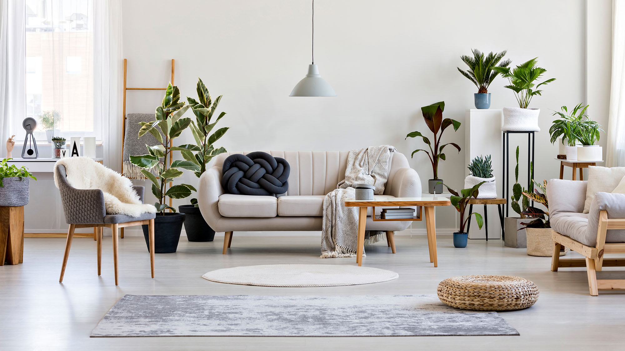 Modern living room with indoor plants and minimalist decor