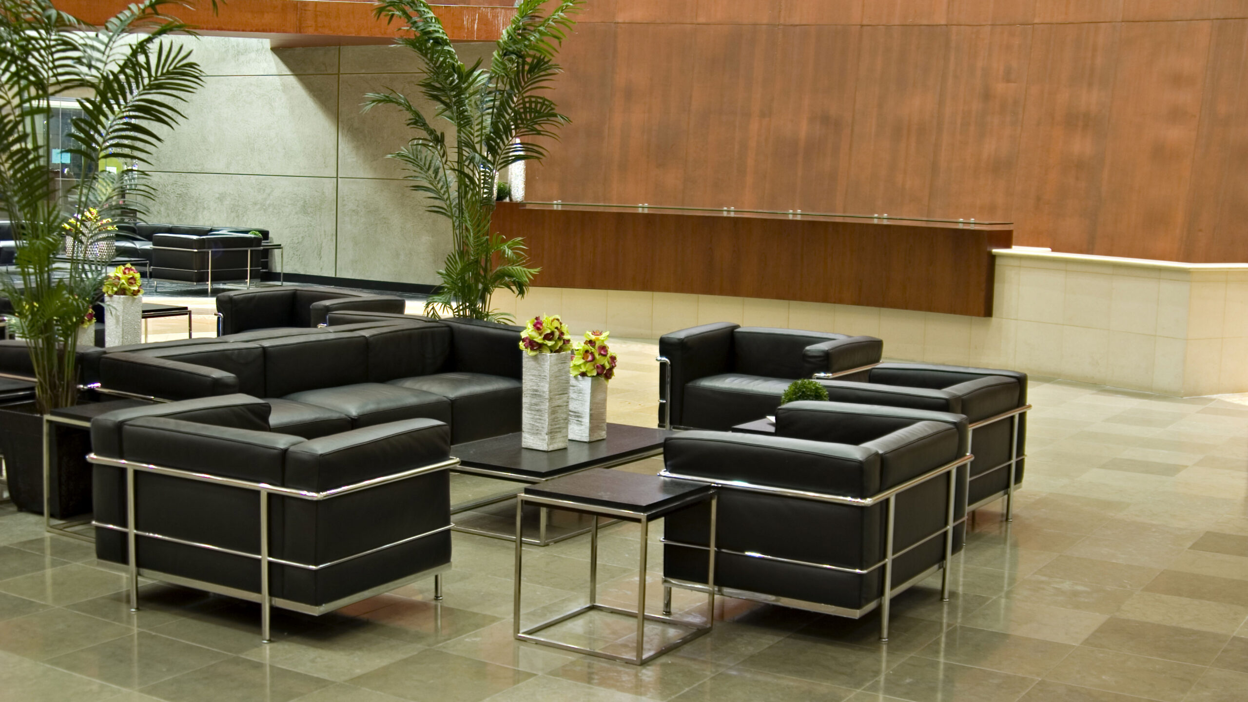 Modern hotel lobby with black leather seating and plants
