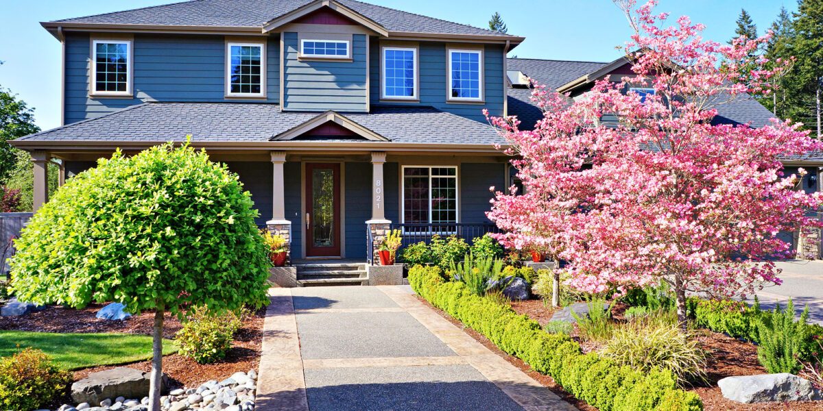 Gray house in spring with flowering trees and curb appeal.