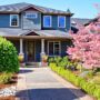 Gray house in spring with flowering trees and curb appeal.