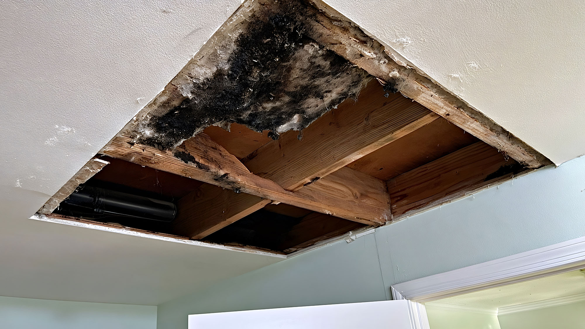 Water damage in ceiling showing exposed wooden beams and mold